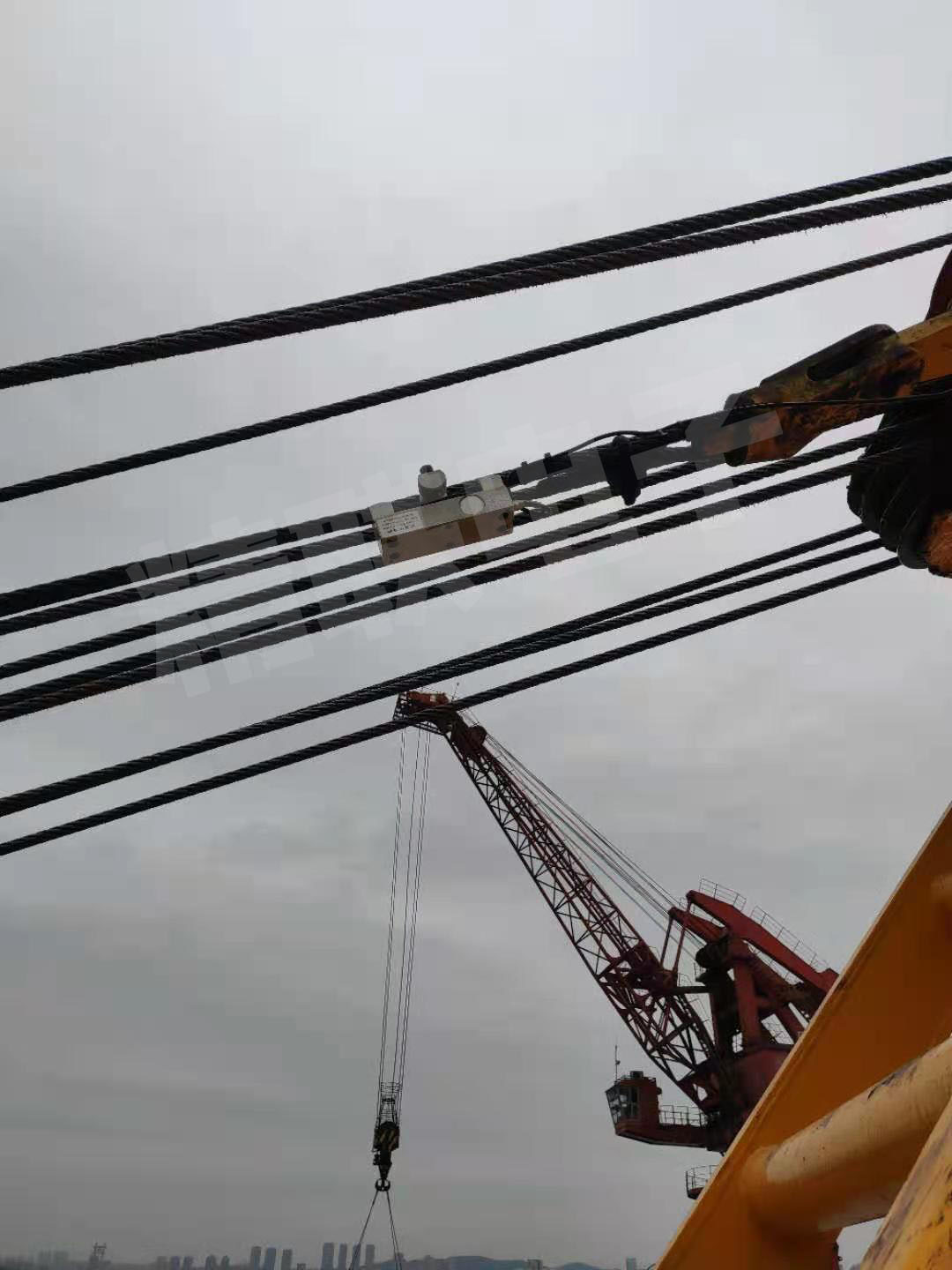 1614743043247321.jpg 3.jpg